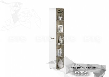 Пенал ПН-15 Наоми