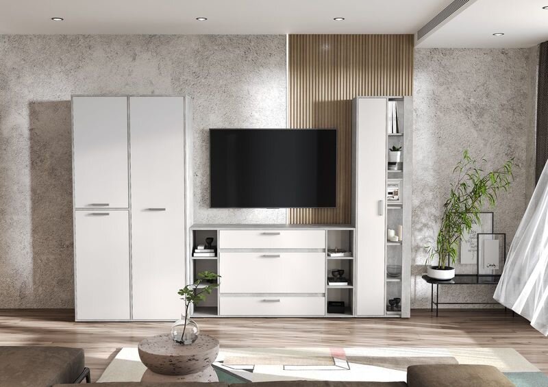 Пенал закрытый Денвер ПН-03 