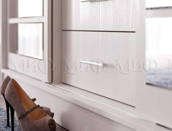 Шкаф-купе Маэстро 