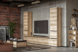 Тумба многофункциональная Берген