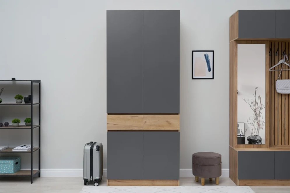 Шкаф двухдверный Роджина дуб крафт / графит (прихожая)   