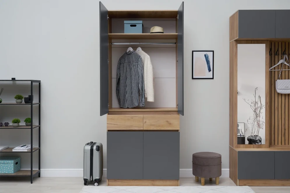 Шкаф двухдверный Роджина дуб крафт / графит (прихожая)   