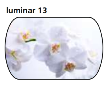 Стол обеденный Прага опора D40