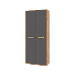 Шкаф двустворчатый Флорида, Графит/Дуб золотой