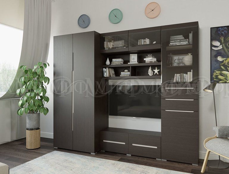 Тумба ТВ с двумя дверями и ящиками ТБ-006 Эколь 