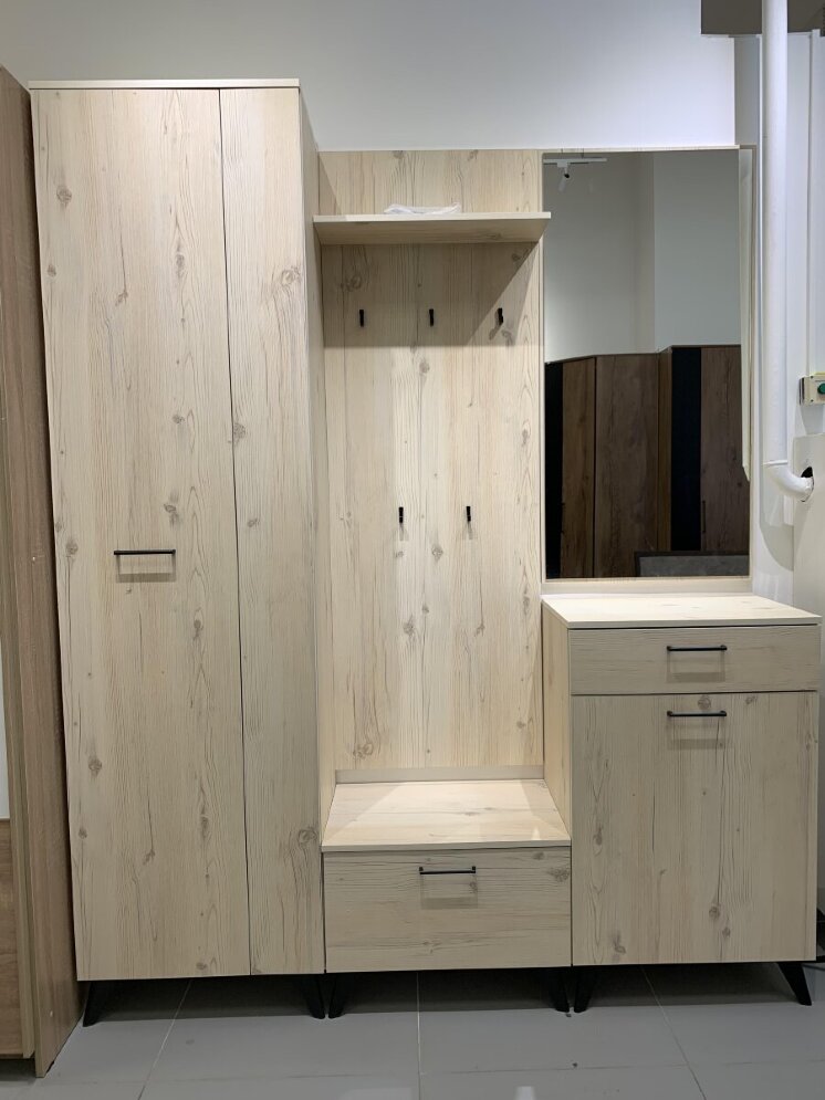 Шкаф для одежды №1 Sofia 