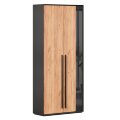 Шкаф двустворчатый Неаполь, Черный/Дуб Вотан 