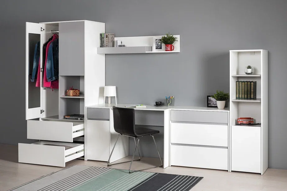 Шкаф для одежды Торонто 