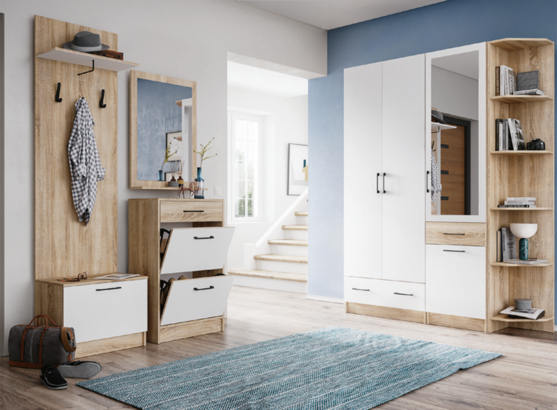 Шкаф 2-х створчатый Денвер 