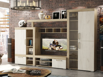 Модульная гостиная Ольга-19