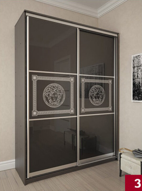 Шкаф-купе Премиум 13 