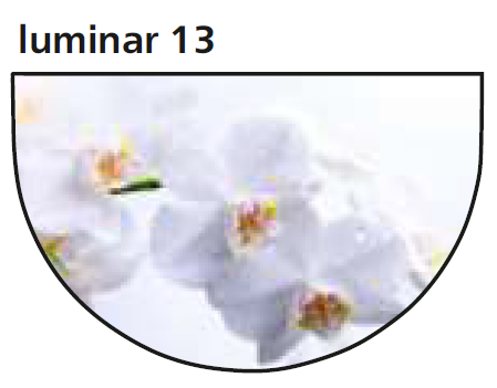 Стол обеденный Сеул 4, опора D50  