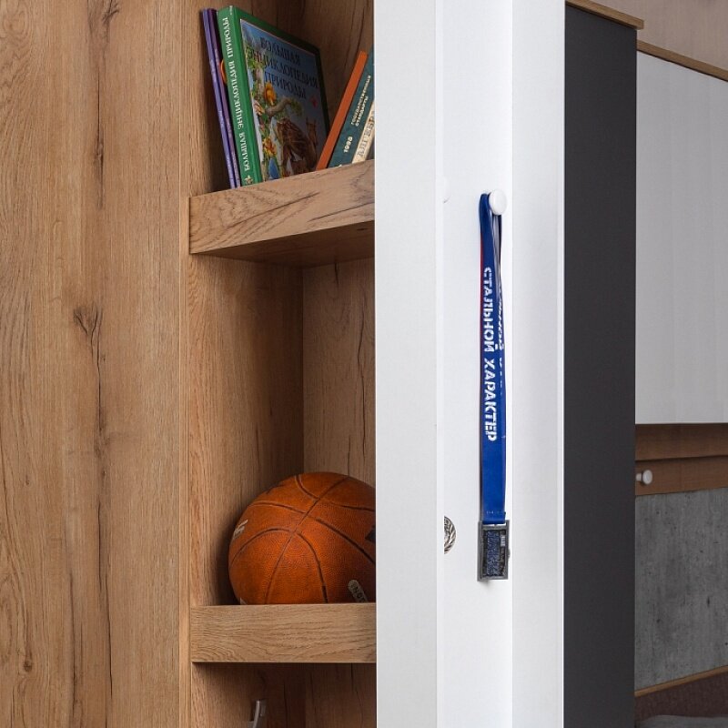 Шкаф МЦН 85 Лойс 