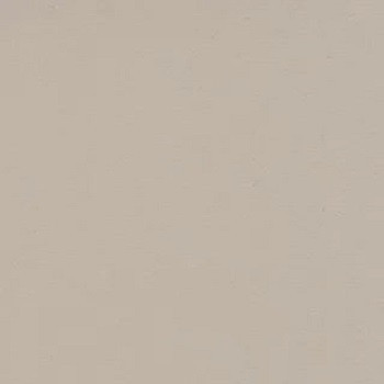 Дуб сонома Пикрит Акция Лайн арт. 10 - 1000х2200 