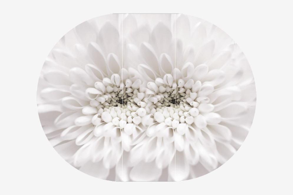 Стол круглый раздвижной Бостон Флоренс (брифинг) 