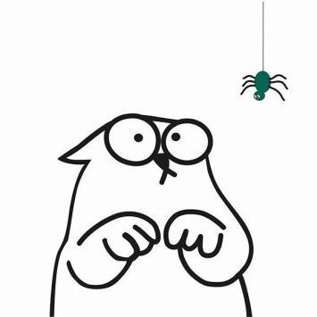 Полка навесная Кот 1210