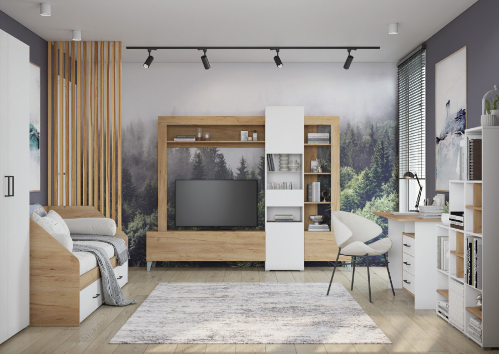 Гостиная Сканди 