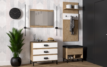 Тумба для обуви с ящиком 210 (серия 3)